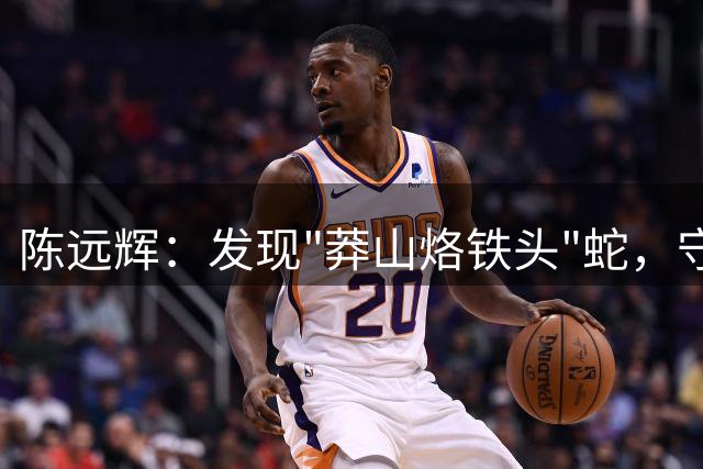 陈远辉：发现"莽山烙铁头"蛇，守护珍贵物种